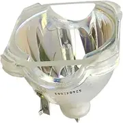 Replacement Lamp 5J.J2H01.001 for BE-NQ PB8263