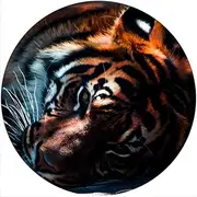 Slipmat Slip Mat Scratch Pad Felt for Any 12" LP DJ Vinyl Turntable Record Player Custom Graphical - Cat Tiger 2