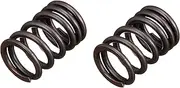 SP Takekawa 00-01-0283 Valve Spring Set (2 Pieces)