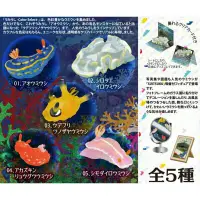 在飛比找蝦皮購物優惠-【✿佩佩部屋✿】日本 F-TOYS 海底生物 海蛞蝓 海蝸牛
