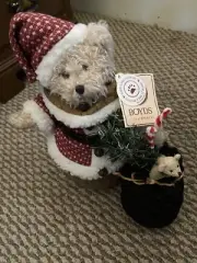 BNWT Boyd’s Bear”St Nichol Kringle-Klaus”