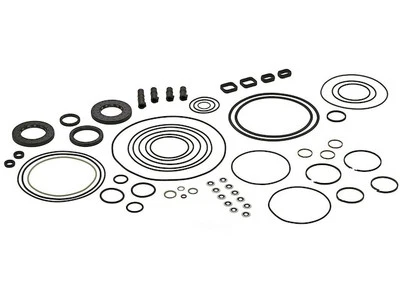 For 2007-2010 Audi Q7 Auto Trans Seals and O-Rings Kit 36876QQSS 2008 2009 (for: Audi)