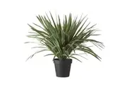 Rogue Sisal Artificial Plant UV Resistant Indoor Outdoor Fake Potted Plant 68cm