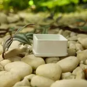 White Square Planter Handmade Mini Cement Flower Pots Indoor & Outdoor Decor New