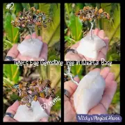 Tiger's Eye Gemstone Crystal Chip Protection, Spiritual Tree Quartz Base