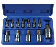 12-Piece 5-Point Star Plus 1/4", 3/8", & 1/2" Drive Bit Socket Set w/ Case