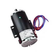 Liftmaster MS003 1/2HP Base Mount Motor (24VDC) MegaSwing or MegaSlide Motor