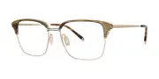 Paradigm Andre Visor Tortoise Women’s Glasses Tortoiseshell Size 53 - Private Health Rebate - Blue Light Block Available