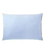 Anne de Solene Amboise King Pillowcase, Pair