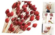 60 Pcs Red Dried Flowers for Vase Bouquet Bulk 16" Mini Billy Ball Flowers
