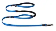 Rogz Control Lead Blue Med **SALE**