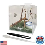 JOBEDE Jumping Spider Enclosure, Jumping Spider Habitat with Dropper Tongs Ac