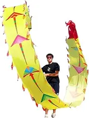 Kites Pattern Wide Streamers Square Entertainment Toys 3D Dragon Ribbon Streamer with Dragon Head for Pray Peace and Good Luck
