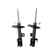 Front Roadsafe Sealed Strut Shocks for Toyota RAV 4 Vanguard ACA31 ACA33 GSA33