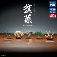 在飛比找Yahoo奇摩購物中心優惠-全套5款 日本正版 盆菜 扭蛋 轉蛋 植物 蔬菜 青菜 迷你