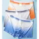 Summer mens underwear ice silk ultra-thin boxer shorts