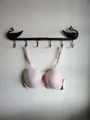 Calvin Klein BLUSH Perfectly Fit Lightly Lined T-Shirt Bra, US 38DD