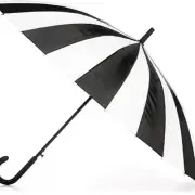 Totes Large Eco Auto-Open 24 Rib Stick Umbrella with Hook & water repellant BLW
