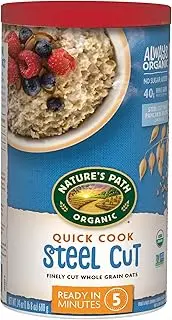 Nature’s Path Quick Cook Steel Cut Oatmeal, Healthy, Organic & Sugar Free, 1 Canister, 24 Ounces (Pack of 6)