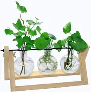 Plant Propagation Kit Hydroponic Terrarium 3Vase
