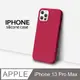 【液態矽膠殼】iPhone 13 Pro Max 手機殼 i13 Pro Max 保護殼 矽膠 軟殼 (紅莓)