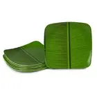 Banana Leaf Square Dinner Serving Melamine Plates For All Occasion Pack of 6 NAU