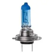 Ignite H7 4300K Halogen Globes - Pack of 2 - IGL2007