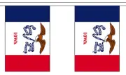 IOWA U.S. STATE BUNTING 9 metres 30 flags Polyester flag