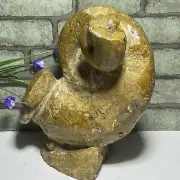 2.3k gRare Ancient Ammonite Genuine Crystalline Specimen from Madagascar b4