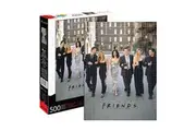 Aquarius Puzzle Friends Wedding Puzzle 500 pieces