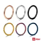 2PCS Hinged Rings Sleeper Surgical Steel Hoop Clickers Earrings Body Piercing