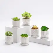 Set of 6 White Simple Porcelain Planters for Small Plant Pots Baby Succulent Cactus with Drainage and Saucer for Home Office Decoration Gift