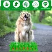 Silicone Cat Grass Green Cat Grass Mat for Cats Slow Food Cat Grass EmkCE