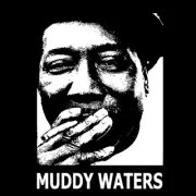 Muddy Waters T-Shirt Mississippi At Newport 1960 Blues music BlackSheepShirts