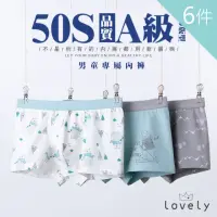 在飛比找momo購物網優惠-【Lovely 蘿芙妮】6件組高品質親膚純棉兒童內褲(男童-