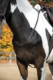 SHIRES EQUESTRIAN THREE POINT BREASTPLATE EXTRA-FULL SIZE
