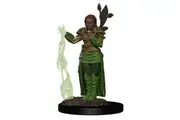 Dungeons and Dragons Human Female Druid Premium Figure