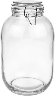 Gallon Glass Jar with Airtight Lid - Large Mason Jar for Pickled Eggs, Kombucha,