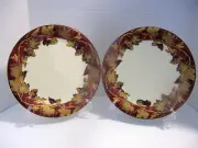 Crate & Barrel VOLANTE Set 2 Salad/Dessert Plates 8 3/4" NEW w/Sticker