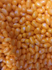 Jelly Belly Beans Orange Sherbert Candy Candies 3 Pounds Free Shipping