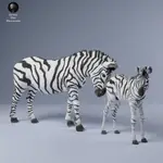 TAZO工坊[AD] 雌性平原斑馬與小斑馬PLAINS ZEBRA FEMALE & CALF 3D列印模型AJP2