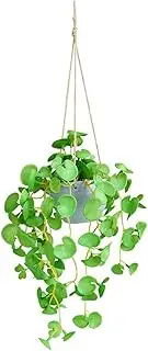 ORFOFE Fake Hanging Plant with Pot Realistic Decorative Wall Hanging Rattan Planter Lifelike Artificial Money Plant for Home Decor Patio Balcony and Indoor Decoration Deep