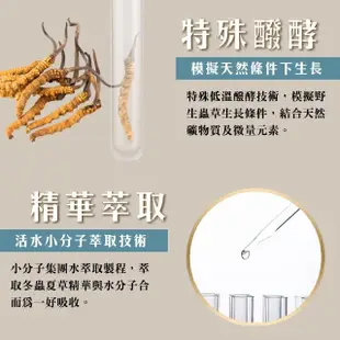 【長庚生技】冬蟲夏草菌絲體純液禮盒12瓶/盒(買10盒再+贈1盒-需同筆訂單 禮盒 冬蟲夏草 菌絲體 春節禮盒)