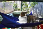 LUXURICAT HAMMOCK, BLUE DENIM REVERSIBLE, CAT BED, CAT LOUNGER