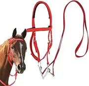 Ruyeiig Tree, Bridle for - Browband Headstall for - Adjustable Band for Hiking Rides, Riding Traces