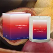 Mediterranean Fig - Glow Autumn Collection - Fig, Pear & Sandalwood Musk - Scented Soy Candle 55hr Burn
