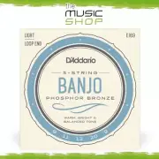 D'Addario 09-20 Regular Light Phosphor Bronze 5 String Banjo Strings - EJ69