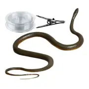 Snake Prank With String Clip,Snake On A String Prank That Chase People Prank Toy