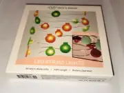 Red Green Ornament Christmas Party String Mini Lights Set 20 LED Warm Decor New