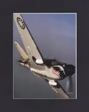 8X10" Matted Print Picture WW2 Plane Aircraft: Curtiss P-40N Warhawk